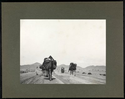 Kuzey Afrika, dans eden kızlar ve müzisyen (gümüş jelatin baskı) by Byron Company